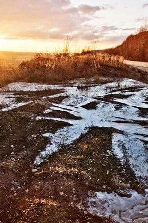 Annihilation of Caste